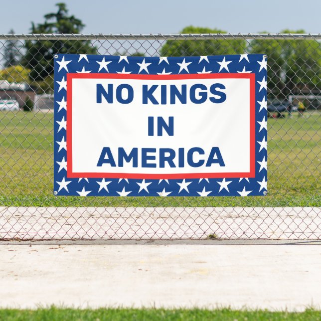 No Kings In America Banner (Insitu)