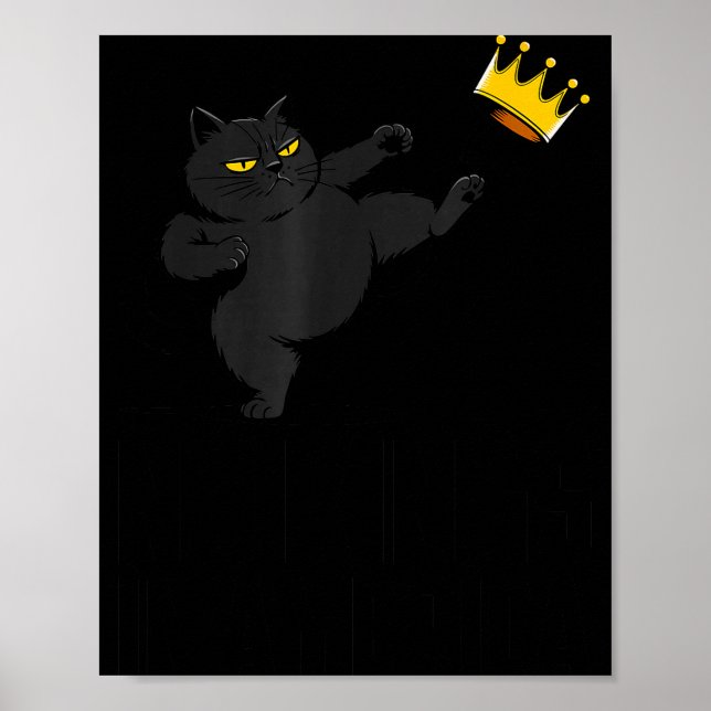 No Kings In America Black Cat Funny Litical Meme 4 Poster (Front)