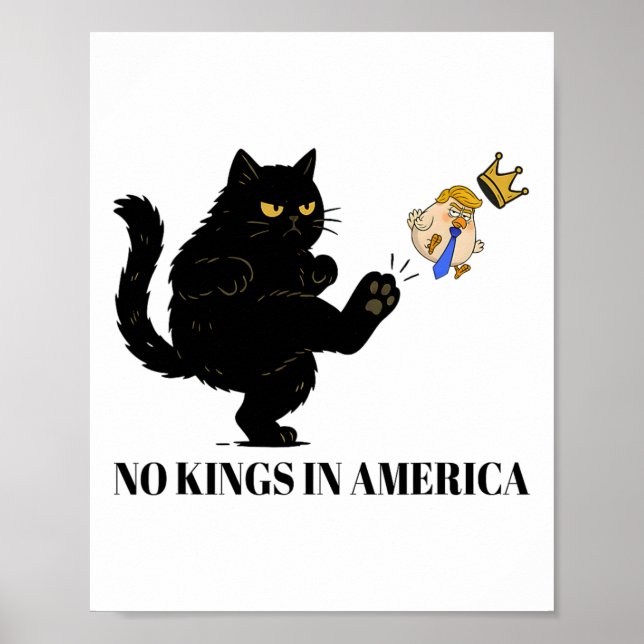 No Kings In America We The People Political For Me Poster (Front)