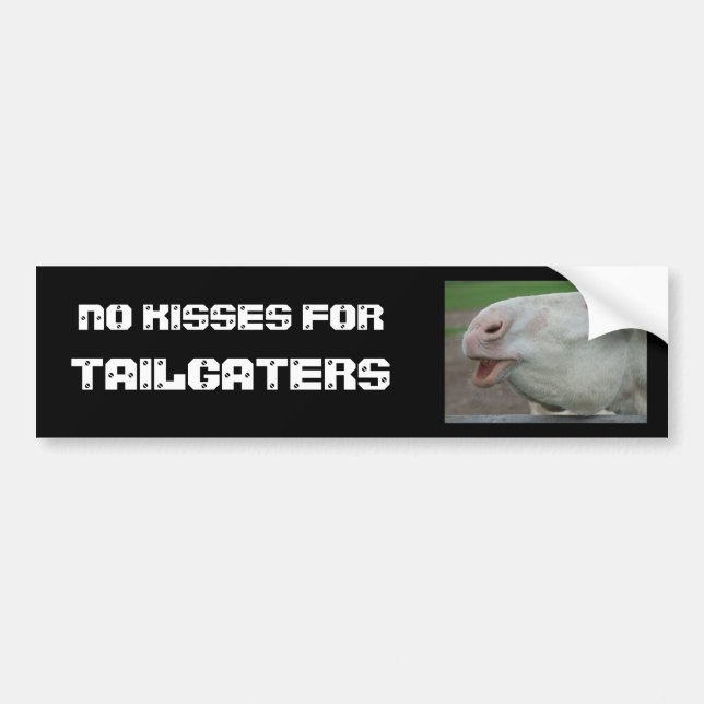 No Kisses For Tailgaters Bumper Sticker (Front)
