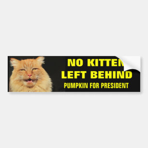 No Kitten Left Behind- Bold Bumper Sticker