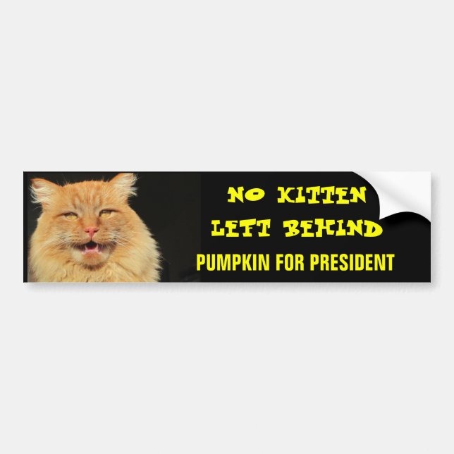 No Kitten Left Behind Pumpkin For President Bumper Sticker (Front)
