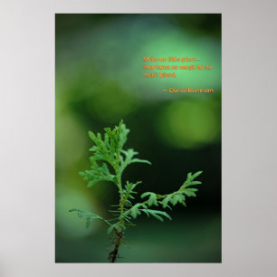 No Little Plans Poster