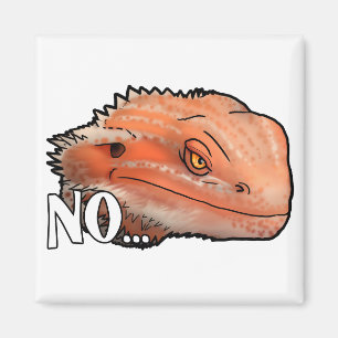 No Magnet