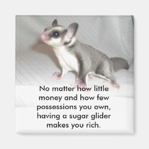 No matter how little money and how fe... magnet