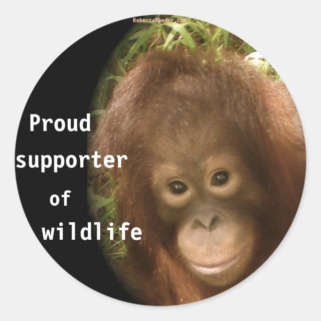 No Monkey Business Classic Round Sticker (Front)