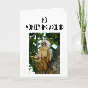 NO MONKEY-ING AROUND-LOVE YOU CARD