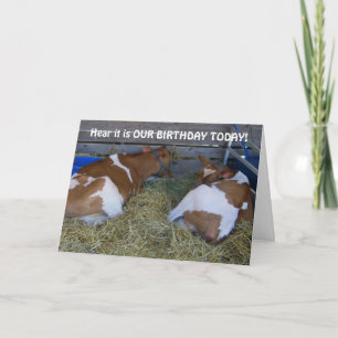 NO MOO-A COUP-SHARING BIRTHDAYS CARD