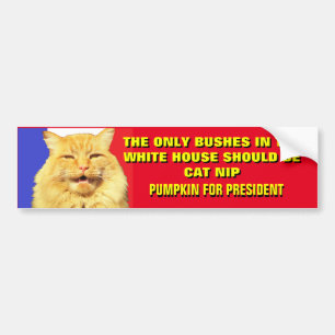 No More Bush Pumpkin for President 2020 Bumper Sticker
