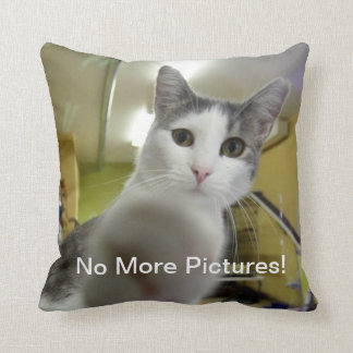 No More Pictures Cat Pillow