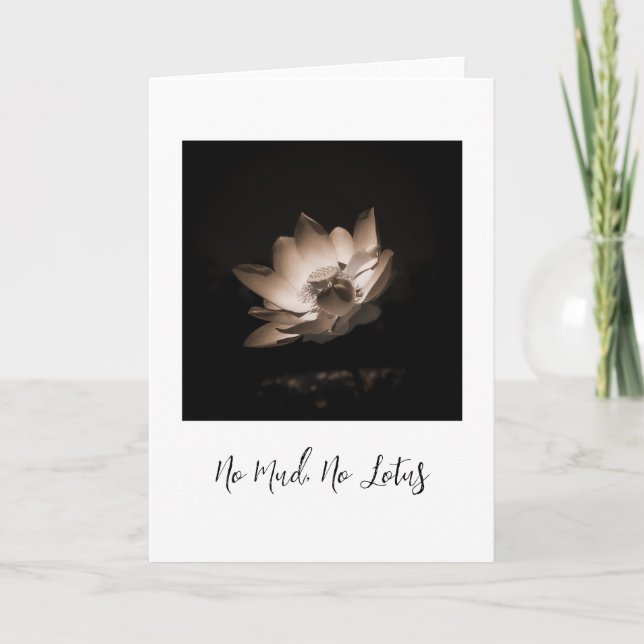 no mud, no lotus, original photography card (Front)