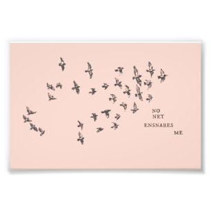 "No net ensnares me" +birds (black on pale orange) Photo Print