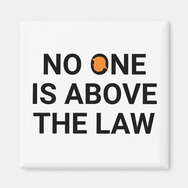 No one is above the law  magnet (Front)