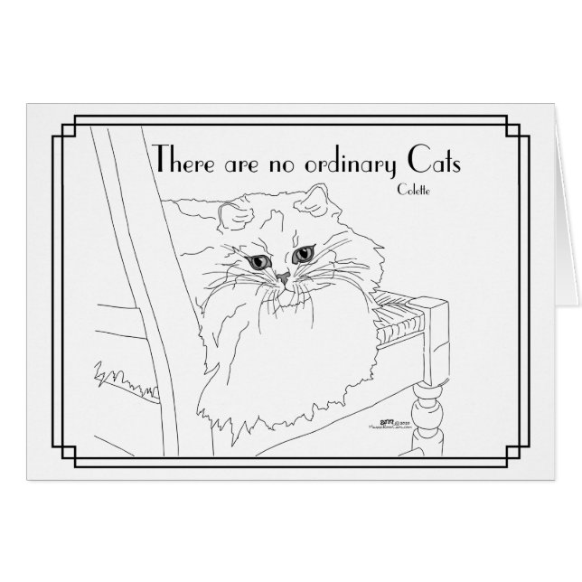 No Ordinary Cats (Front Horizontal)