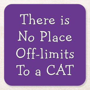 No Place Off-limits To a CAT    Square Paper Coaster