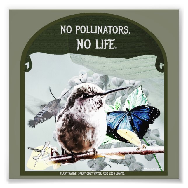 No Pollinators, No Life Photo Print (Front)