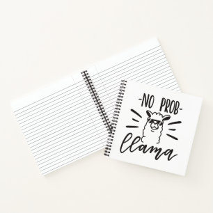 No Prob Llama Design Notebook
