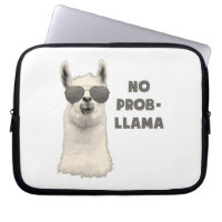 No Problem Llama