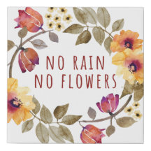 No Rain, No Flowers