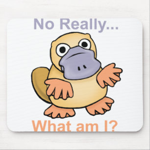 No Really... What am I? Platypus Mouse Mat