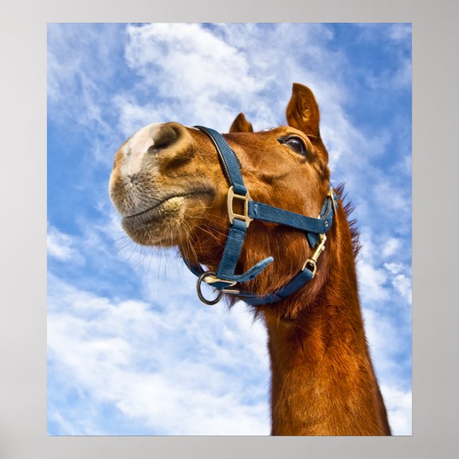 no ride today poster (Front)