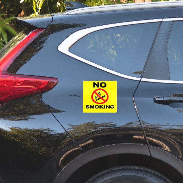No Smoking Custom-Cut Vinyl Sticker (Car Back)