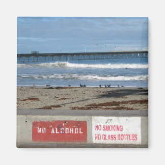 No Smoking, No Alcohol, No Glass Bottles Magnet
