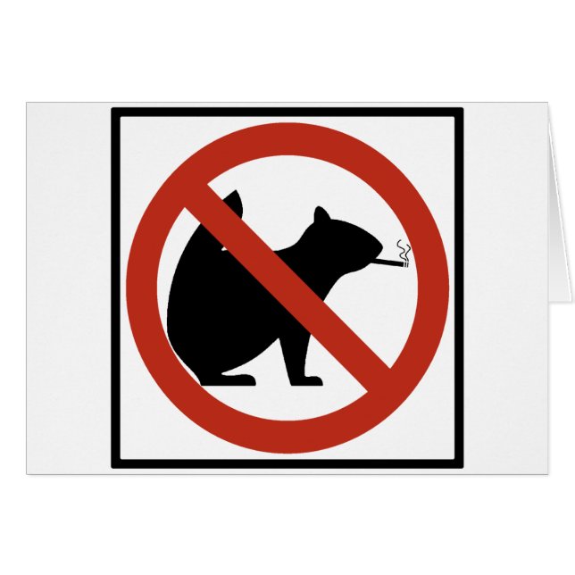 No Smoking Squirrels Allowed Highway Sign (Front Horizontal)