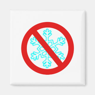 No Snowflake Magnet