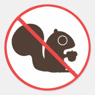 No Squirrels Anti-Squirrel Protest Classic Round Sticker