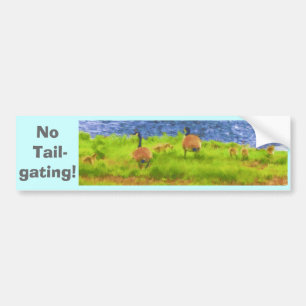 No Tailgating! Bumper Sticker