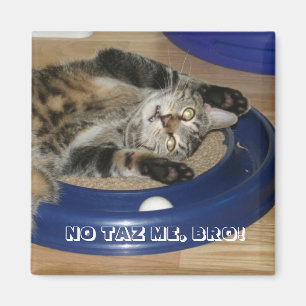 NO TAZ ME, BRO! MAGNET