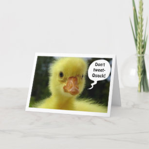 NO TEXT/TWEET=A DUCKY BIRTHDAY CARD FOR YOU