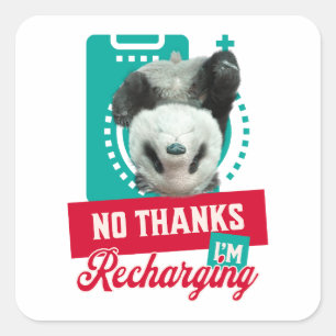 No Thanks, I’m Recharging Panda Bear Cub Battery Square Sticker