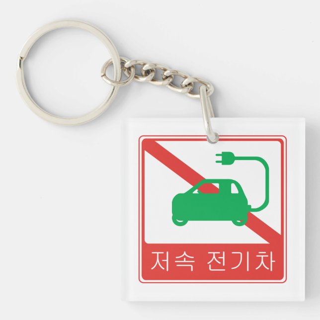 NO Thoroughfare for NEVs Korean Traffic Sign Key Ring (Front)
