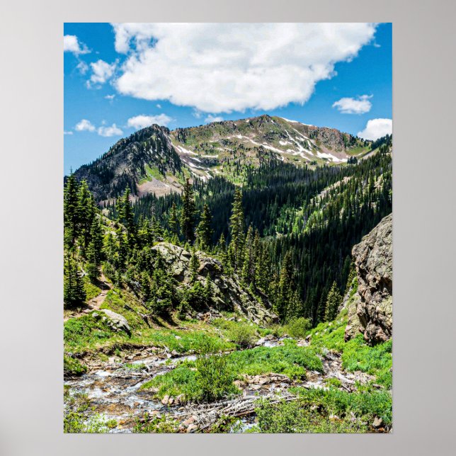 No Trails to the Top // Blissful Beauty Poster (Front)