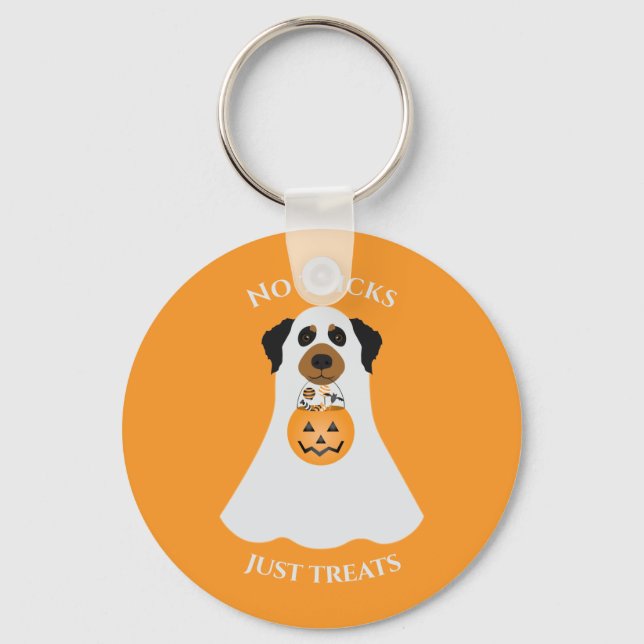 No Tricks Just Treats Halloween Dog Key Ring (Front)