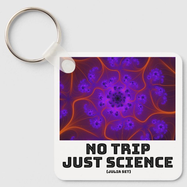 No Trip Just Science Mandelbrot Julia Set Fractal  Key Ring (Front)