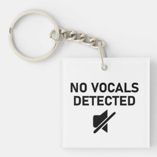 No Vocals Detected Minimal Audio Design Key Ring