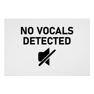 No Vocals Detected Minimal Audio Design Poster