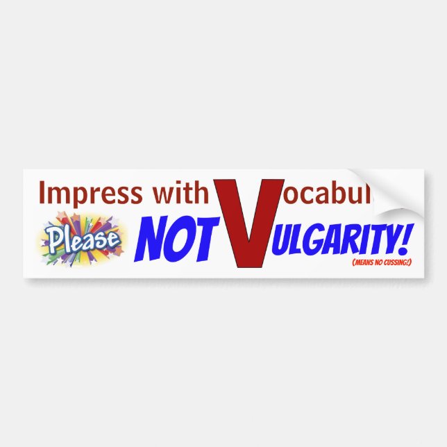 No Vulgarity... sign/sticker Bumper Sticker (Front)