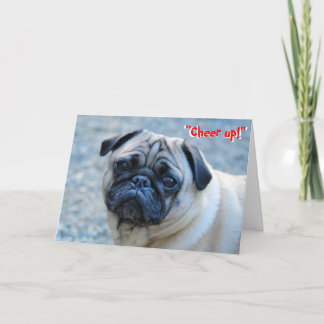No Wrinkles Pug Birthday Card