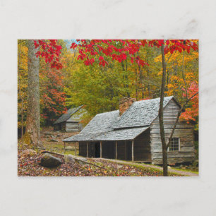 Noah "Bud" Ogle Cabin in the Smokies Postcard