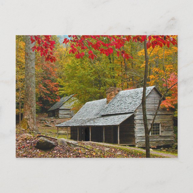 Noah "Bud" Ogle Cabin in the Smokies Postcard (Front)