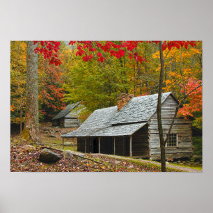Noah "Bud" Ogle Cabin in the Smokies Poster