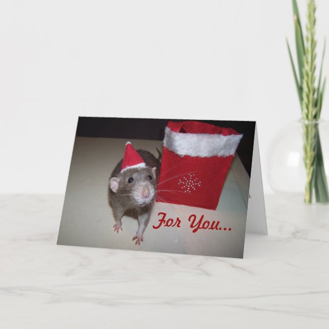 Noah Christmas Card 2 (Front)