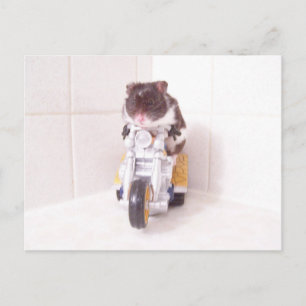 noah yellow cycle postcard