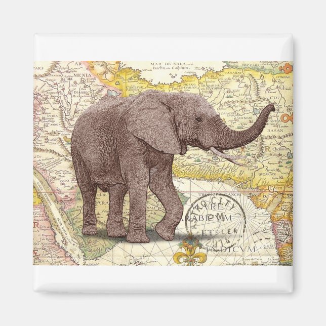 NOB173 Trunk 1.tif Magnet (Front)