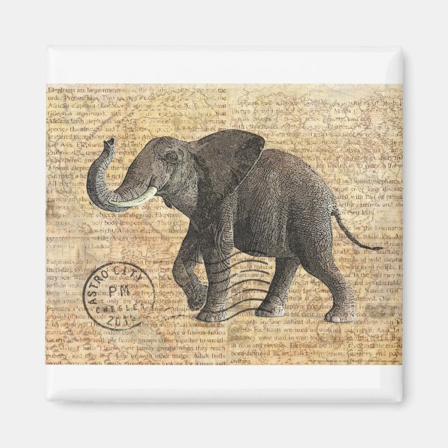 NOB175 Truck 3.tif Magnet (Front)