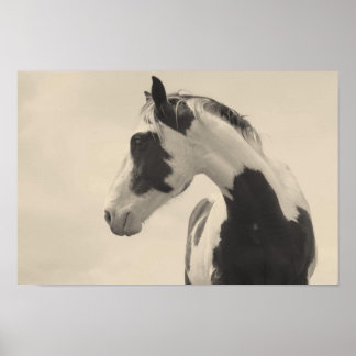 Nobel Beast Poster
